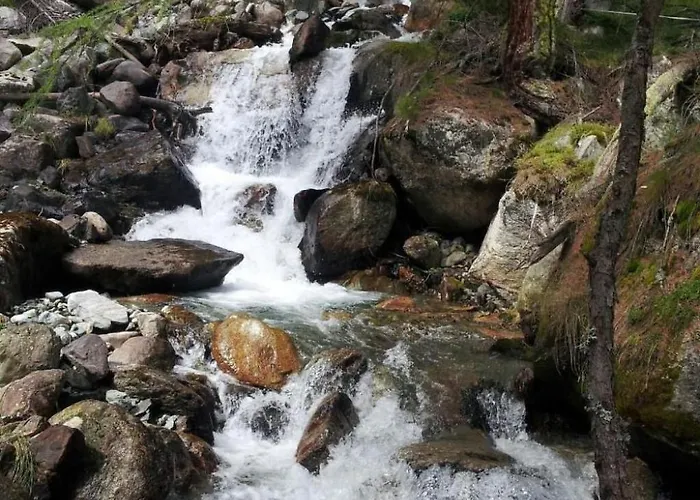 Daire Haus Mattaboni By Interhome Zernez